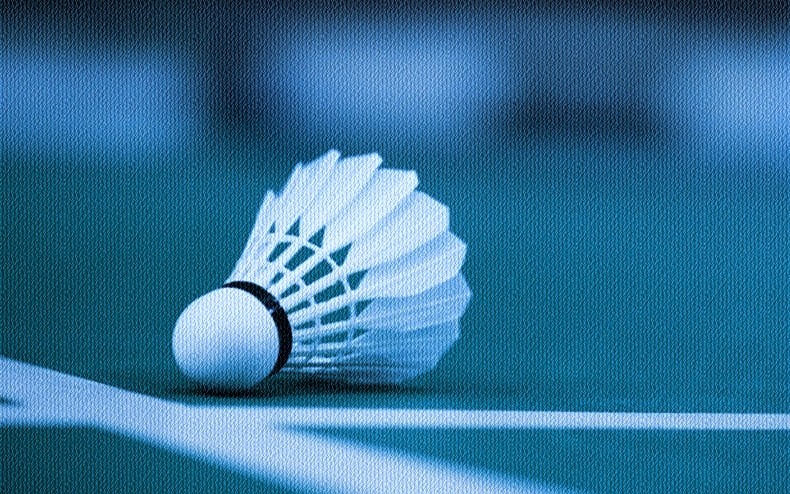 Županijsko Natjecanje u badmintonu