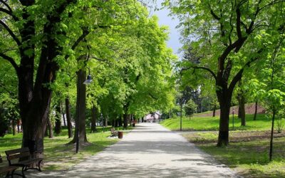 Grad mladih