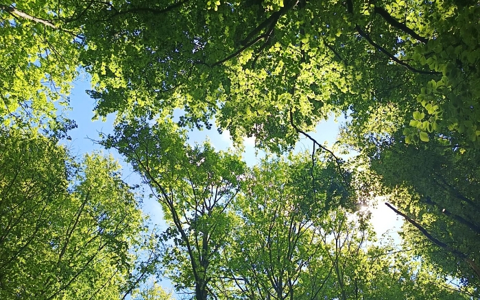 Park prirode Medvednica