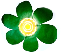 e sfera Biologija 7